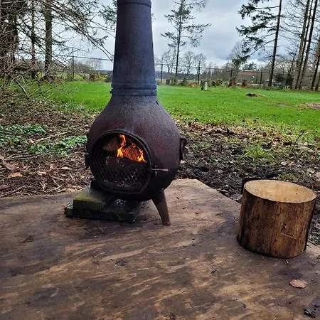 Gezellige Blokhut Op De Veluwe Emst