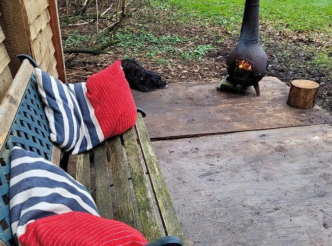 Gezellige Blokhut Op De Veluwe *